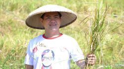 Bupati Joune Ganda Sukses Perkuat Sektor Pertanian, Cadangan Beras Minut Lampaui Target Provinsi