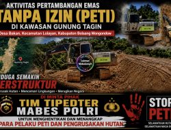 Aktivitas Pertambangan Emas Tanpa Izin Marak di Kawasan Gunung Tagin, Desa Bakan Kabupaten Bolmong Semakin Terstruktur Dan Masif