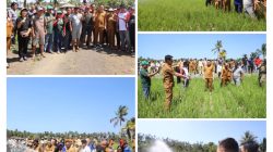 Bupati Ronald Kandoli Pantau Langsung Penyaluran Air di Persawahan “Pelaladan”