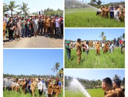 Bupati Ronald Kandoli Pantau Langsung Penyaluran Air di Persawahan “Pelaladan”