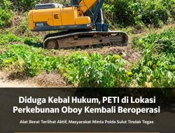 Diduga Kebal Hukum, PETI di Lokasi Perkebunan Oboy Kembali Beroperasi — Alat Berat Terlihat Aktif, Masyarakat Minta Polda Sulut Tindak Tegas