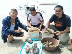 Dari Eksploitasi ke Restorasi: Kisah Warga Kampung Bulo Menjaga “Emas Hitam” Laut Sangihe