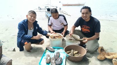 Dari Eksploitasi ke Restorasi: Kisah Warga Kampung Bulo Menjaga “Emas Hitam” Laut Sangihe